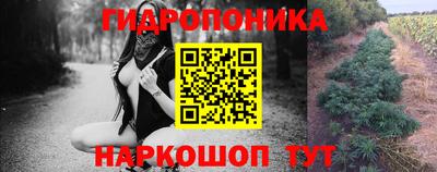 ГАЛЛЮЦИНОГЕННЫЕ ГРИБЫ Обь