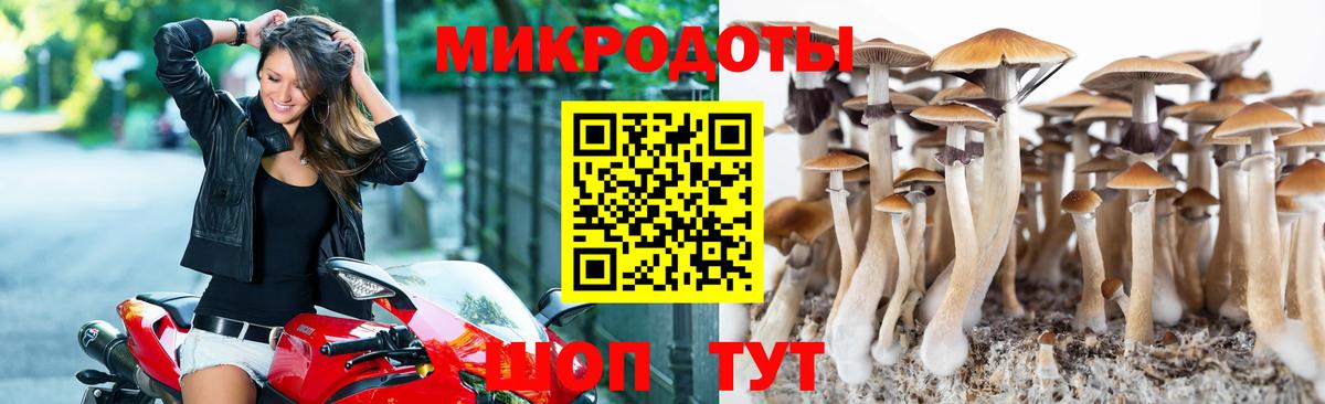 цены   Галлюциногенные грибы прущие грибы  Вход с VPN  Семилуки  Галлюциногенные грибы Psilocybe 